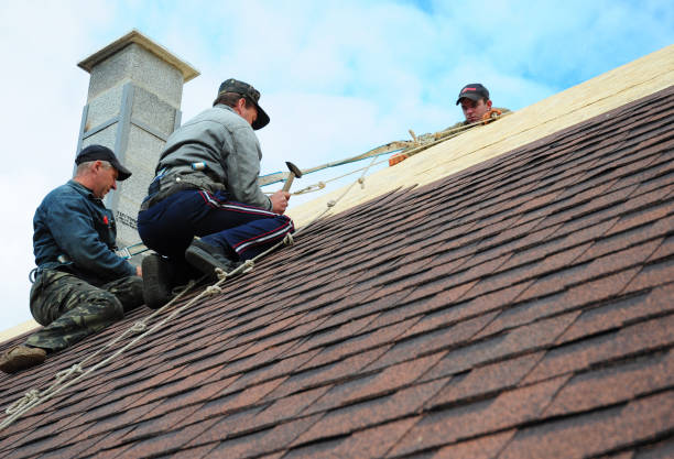 Best Roof Gutter Cleaning  in Innsbrook, VA